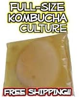 Kombucha Scoby & Starter Tea by Poseymom...
