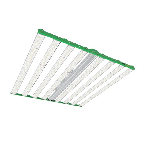 RDJ Bouns 1000W LED Grow Light