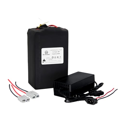 BtrPower 48V 20AH Lithium LiFePO4 Ebike Battery Pack for 1000W-250W Motor, Built-in 40A BMS and 3A Fast Charger