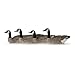 AvianX Top Flight Goose Honk Floater Decoy (4 Pack), Grey