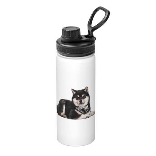  Č   ʔ  XeX{g @r 500ml  ۗۉ ^fM X|[c{g e nht ^ Rh~  oR AEghA ʋ ʊw