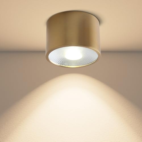 Sedelan Brass Ceiling Spot Lights Indoor, LED Ceiling Spot Light, 4.72 Cylinder Mini Ceiling Spotlight, Dimmable Ceiling Lights for Kitchen Hallway Dining Room Foyer, 4500K 7W