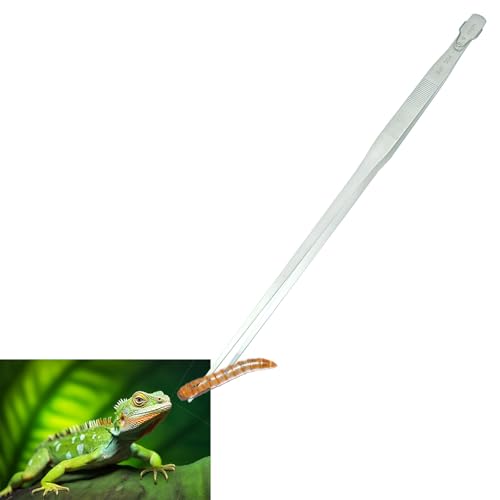 Gostur 18.9C` psZbg nK[t 2025N GNXgO agO XeXX`[ ^ANAXP[vc[  eE ANAXP[v ঒ރXl[Np (Xg[g)