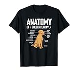 Funny Anatomy Of A Golden Retriever Dog Lover Pet Owner T-Shirt