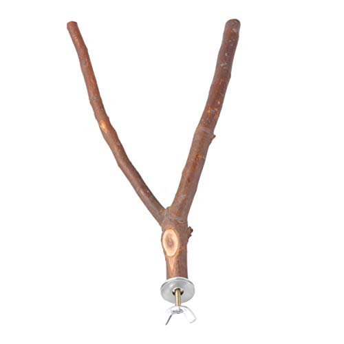 47 Mejor Jaulas para pájaros y accesorios en 2021: según los expertos