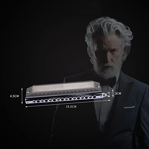 MEIeynt 16 Trous Professional Diatonic Blues Harmonica Key of C avec étui, Harmonicas pour Adultes, Joueurs… - Les Beatles, Paul McCartney, John Lennon, RIngo Starr, George Harrison MEIeynt 16 Trous Professional Diatonic Blues Harmonica Key of C avec étui, Harmonicas pour Adultes, Joueurs… – Image 8
