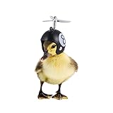 Gatuida 2 Stück Kreatives Neues Heimtierzubehör Lustiger Schutz Hühnerhelm Henne Schutzhelm Vogelhut Kopfbedeckung Meerschweinchen Fleece Käfigauskleidung Käfige Coop Bekleidung