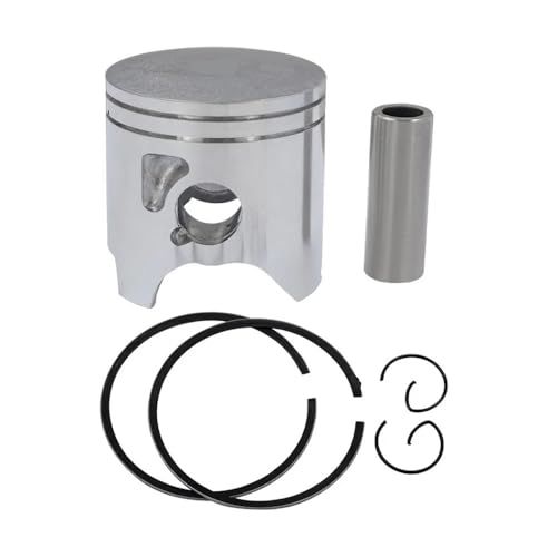 oCÑ{ATCY STD +50 56mm 56.5mm sXgONbvLbg TZR250 1KTɓK(STD)