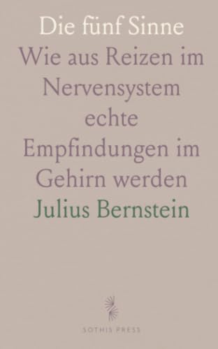Die fünf Sinne: Wie aus Reizen im Nervensystem echte Empfindungen im Gehirn werden
