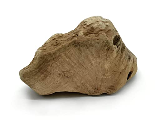 Kork-Deko Kauwurzel für Hunde | Kauspielzeug aus Wurzel der Baumheide | Nachhaltig, unbehandelt & unbedenklich | Natürlicher Kauknochen ohne Kalorien | Bruyère Holz aus Portugal