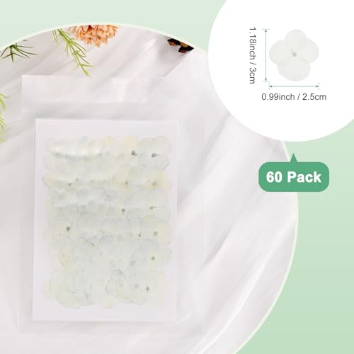 60 flores secas prensadas blancas para manualidades miniatura 3