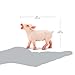 Safari Ltd. Playful Piglet Figurine - Lifelike 2