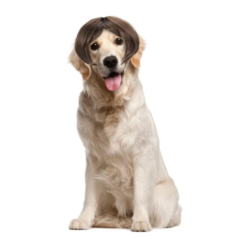 JUPSK Dog Christmas Headdress,Dog wig Dog Birthday Present Dog Costume Outfit Pet Cosplay,Pet Head Wear Apparel Toy for Christmas Halloween Parties Cover