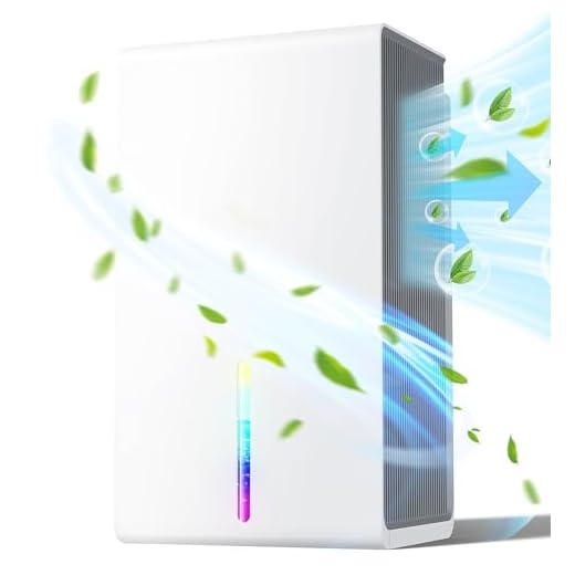DKLECHUI Ultra Quiet Dual-Core Dehumidifier