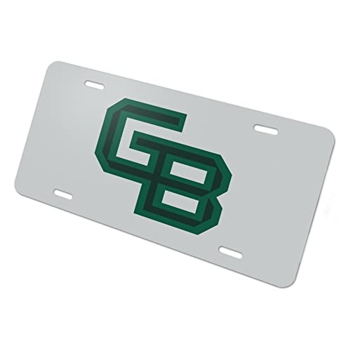 University of Wisconsin - Green Bay Secondary Logo Novelty Metal