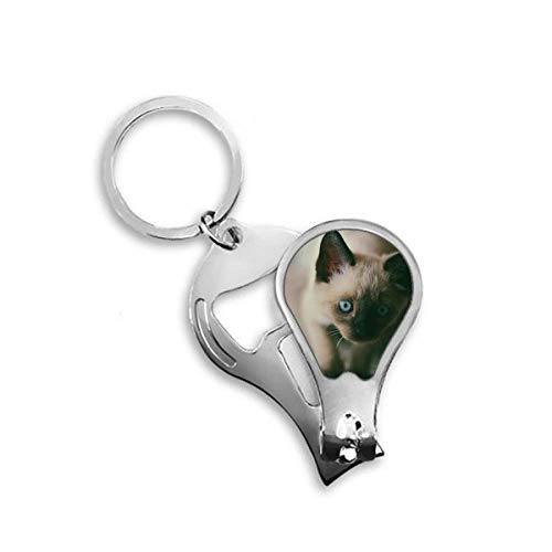 Cutter coupe-ongles original chaton gris idée cadeau mignon animal bleu