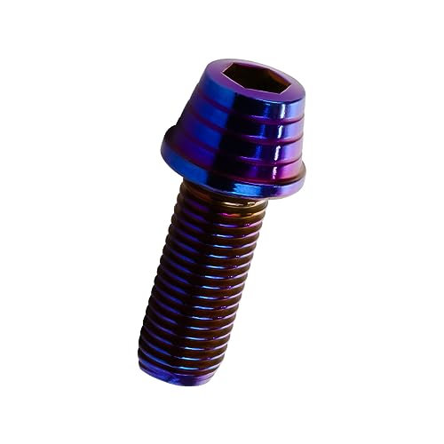 �L���b�v�{���g M10×25mm �e�[�p�[�V�F���w�b�h �X�e�����X�� �`�^���J���[ �J�X�^���{���g 2�{�Z�b�g