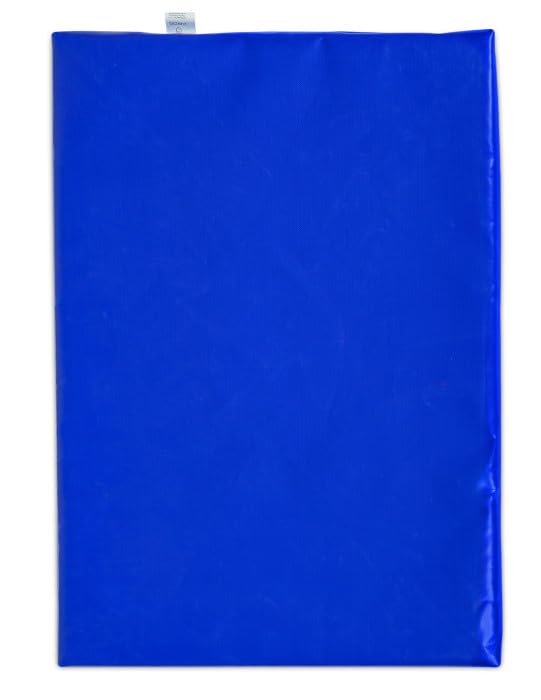 PROS Tapis de désinfection pour chaussures Tapis de désinfection des semelles de chaussures Tapis de sol d'entrée