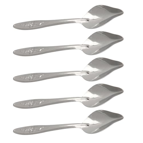 UKCOCO Cuillères à Perroquet Lot de 6 pour Alimentation Pratique Résistantes Rouille en Acier Inoxydable d'oiseaux de Compagnie à Domicile
