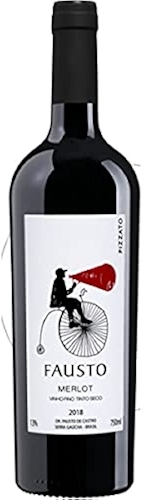 Vinho Brasileiro Pizzato Fausto Merlot