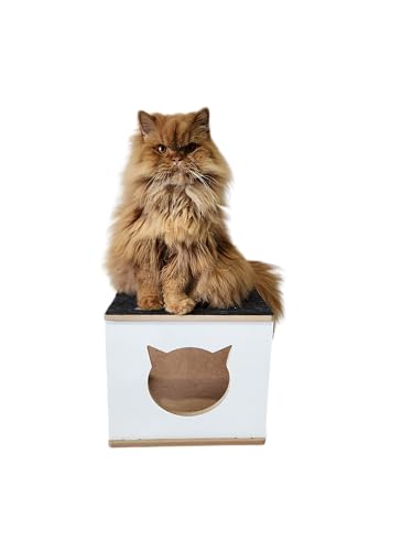 Kit Play Nicho Gatos 7 Pcs Toca, Escadas,prateleira Mdf 12 mm- Frente Branca