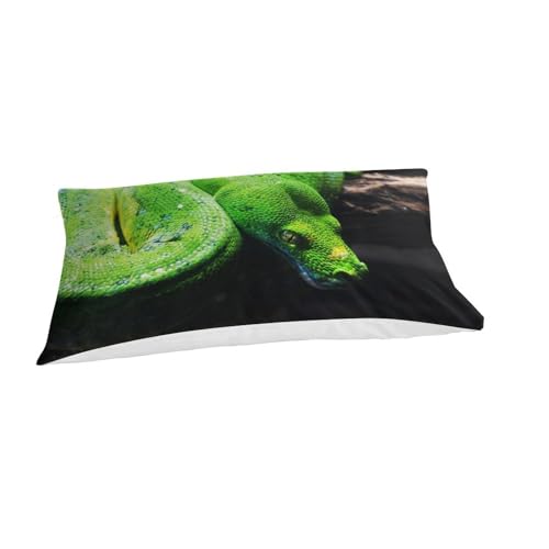 Housse de couette serpent microfibre hypoallergénique lit 1 place - 4