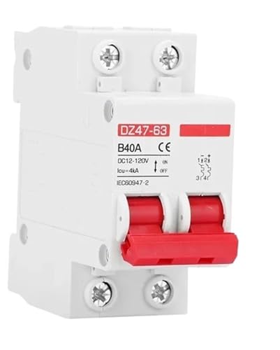 Disjoncteur de protection de batterie CC 32A 2 pôles pour système 12V à 110V
