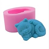 Die Form ist gut für Fondant-Kuchen, Zuckerpaste, DIY Kochen oder Bastel-Ton.