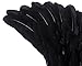 SzJias Black Wings Angel Costume Wings and Halo Devil Wings Fallen Wings for Kids Feather Wings for Halloween