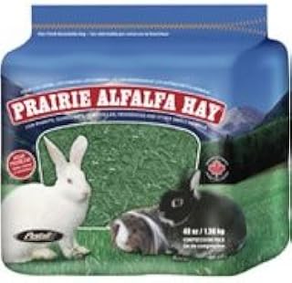 Pestell Prairie Alfalfa Hay Small Animal Food