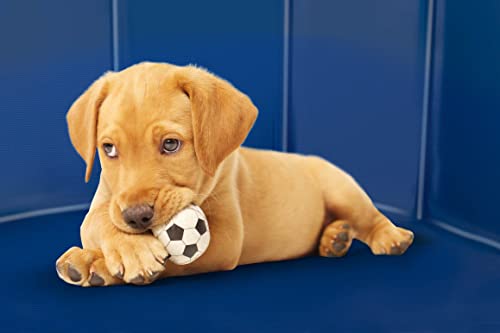 Haustier Hundepool - 120 x 30 CM - Mittlere Hunderassen - Faltbares Hundebad - Rutschsicherer Boden - mit Entleerventil - Blau