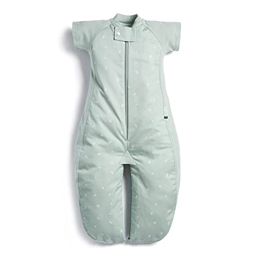 [ergoPouch] �G���S�|�[�` �X���[�v�X�[�c�o�b�O Sleep Suit Bag �y���K�i�z �X���[�p�[ 1.0TOG 2-4Y �Z�[�W