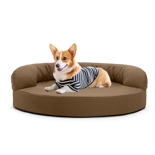 JUNENTER hpxbh p\t@xbh Lpxbh O\Ő􂦂Jo[Ɗ~ߒt ^Lƌp CG[ S