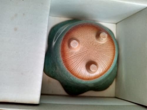 ˏ D  5Zbg aH  O[n