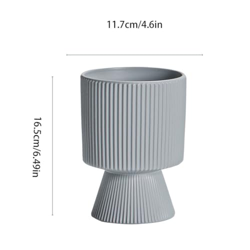 Pot pour plantes d'intérieur pour embellir une chambre à coucher sombre - 3