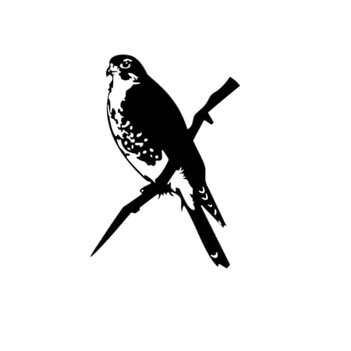 LZWNBX ガーデニングアクセサリー、北欧のワイヤーアート、鳥のデザインメガネプロジェクター、庭や屋外に最適、屋内の抽象的な鉄板装飾、西洋のガーデニング用品、花壇やテラス(2個入り) (サイズ17)