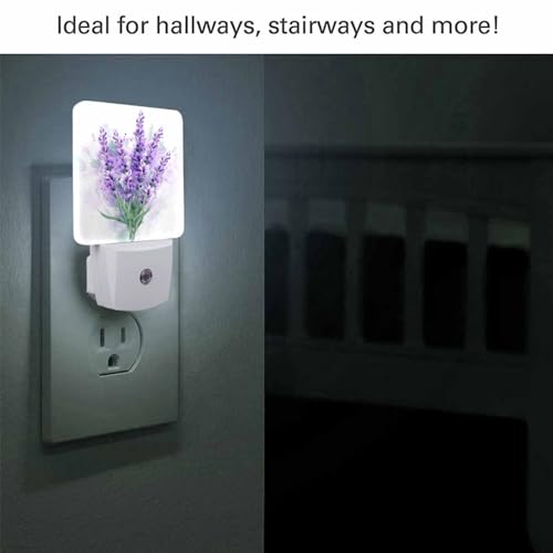 Image of LED Night Light,Delicate Purple Lavender Flowers LED Night Light Plug into Wall with Dusk to Dawn Light Sensor White Energy Efficient Nightlight for Bedroom Bathroom Hallway LivingRoom Kitchen