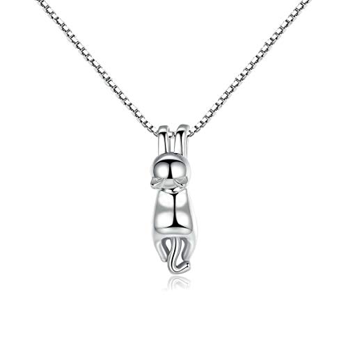 Collar de plata de ley 925 Cover