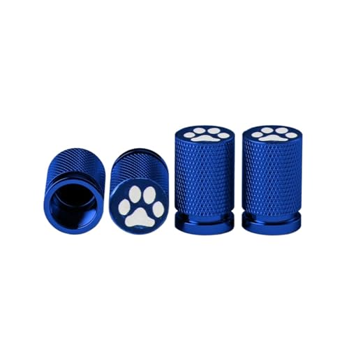 jo[TJ[^CouXeLbv SOKXPbgt ^C_XgJo[t ԁASUVAgbNAI[goCA]ԗp 4(Blue)