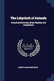 The Labyrinth of Animals: Including Mammals, Birds, Reptiles and Amphibians