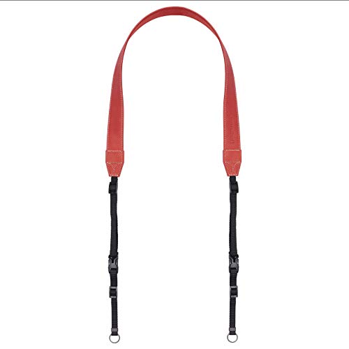 Promaster OdysseyXgbvMedium ? Blazebh