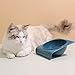 lamphle Cats Bowl 15 Degree Inclined Design Holder BPA Free Pet Food and Water Bowl Pet Supplies Dark Blue