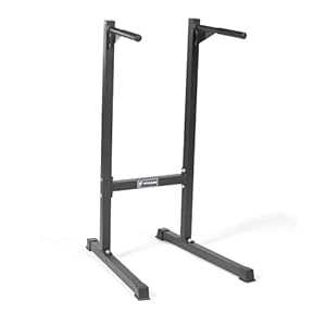 Titan Heavy Duty Dip Stand Freestand Station Fitness Workout 500 lb