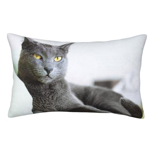  GObY 킢 XMtgL L DF _uE[ Jo[ NbVJo[    Y14"X20"