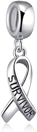 Dangle Pendant Charm-925 Sterling Silver Italian Horn, Puerto Rico Flag, Survivor Cancer Ribbon, Halloween Witch, Dog Pawprint, Shoot for the Moon, Triangle Smile Beads, fits European Charms Bracelet, Gifts for Women/Friends/Children