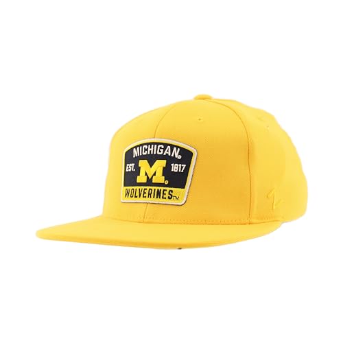 Michigan Wolverines NCAA Officially Licensed Fitted Hat M15Z Switchback Secondary Color, Medium