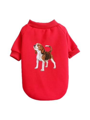  킢 r[O ybg hbOEFA ̕ L ybgEFA h _炩 іh~   t@bV U ybgpi