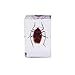 Resin Specimen Bugs Collection Paperweights Animal Specimen for Scientific Educational 6 Styles Insect