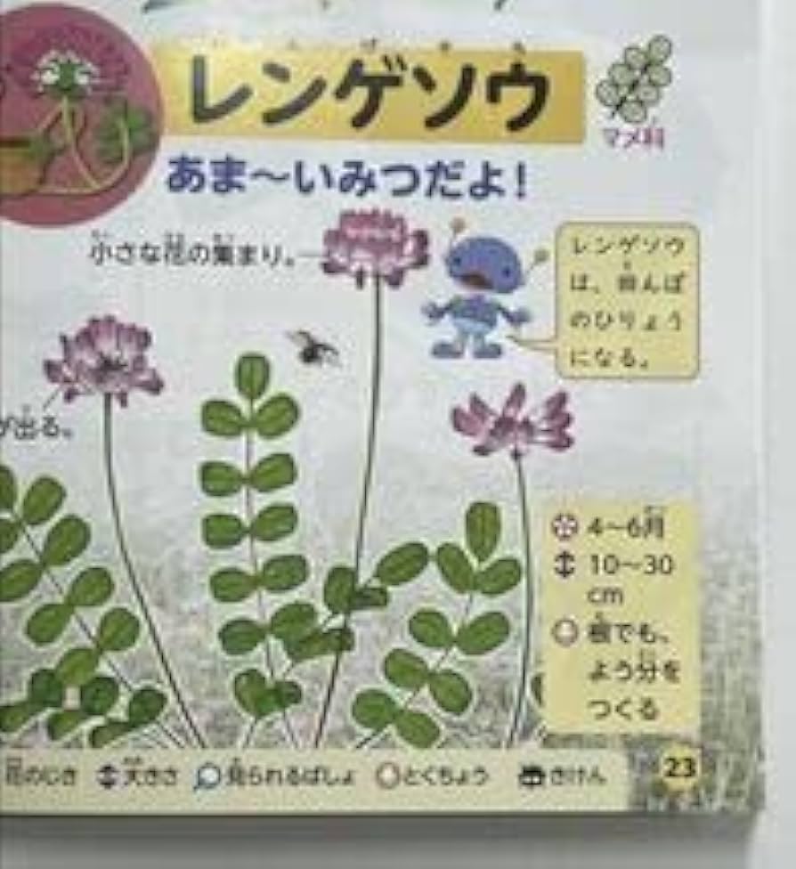 わくわくずかん　こんちゅうはかせ37冊 41acc8f4wyL._AC_SY200_QL15_.jpg