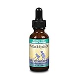 Herbs For Kids, Nettles Eyebright, 1 Fl Oz